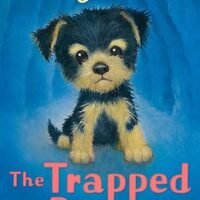 The Trapped Puppy (Holly Webb Animal Stories)