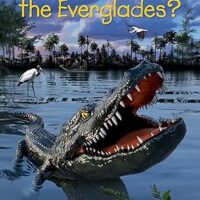 Where Are the Everglades?