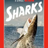 TIME for Kids: Sharks