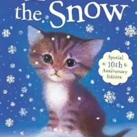 Lost in the Snow