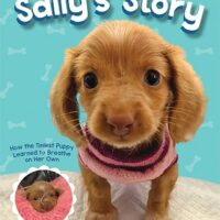 Sally's Story (The Dodo)