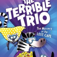 The Mystery of the Lost Cape (The Terrible Trio #3)